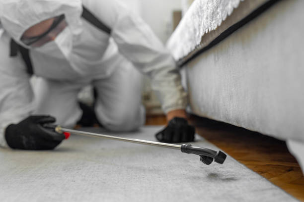 Professional Termite Control technician working in San Patricio County County, TX